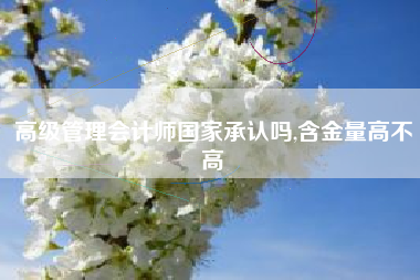 高级管理会计师国家承认吗,含金量高不高