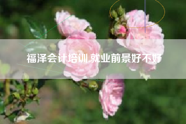 福泽会计培训,就业前景好不好
