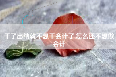 干了出纳就不想干会计了,怎么还不想做会计