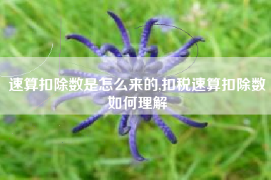 详细阅读:速算扣除数是怎么来的,扣税速算扣除数如何理解 速算扣除数是怎么来的,扣税速算扣除数如何理解