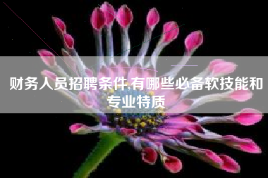 财务人员招聘条件,有哪些必备软技能和专业特质