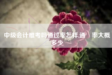 中级会计难考吗通过率怎样,通過率大概多少