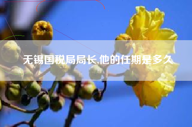 无锡国税局局长,他的任期是多久