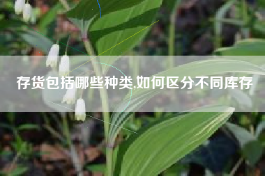存货包括哪些种类,如何区分不同库存