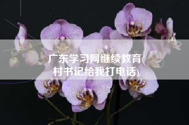 广东学习网继续教育(
村书记给我打电话)
