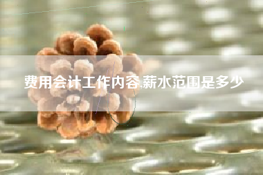 费用会计工作内容,薪水范围是多少