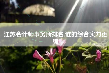 江苏会计师事务所排名,谁的综合实力更强