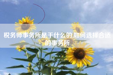 税务师事务所是干什么的,如何选择合适的事务所