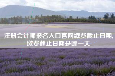详细阅读:注册会计师报名入口官网缴费截止日期,缴费截止日期是哪一天 注册会计师报名入口官网缴费截止日期,缴费截止日期是哪一天
