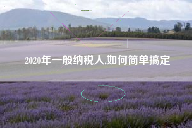 详细阅读:2020年一般纳税人,如何简单搞定 2020年一般纳税人,如何简单搞定