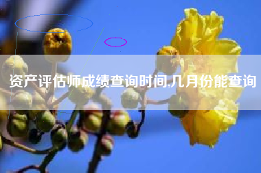 资产评估师成绩查询时间,几月份能查询