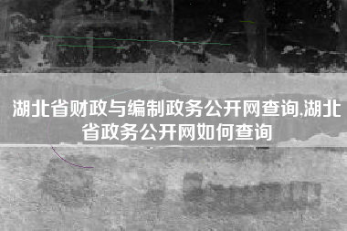 湖北省财政与编制政务公开网查询,湖北省政务公开网如何查询