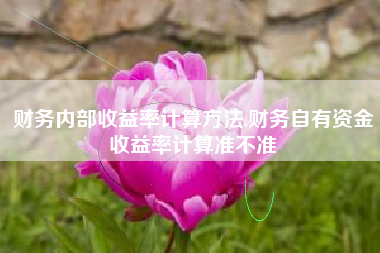 财务内部收益率计算方法,财务自有资金收益率计算准不准