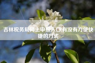 详细阅读:吉林税务局网上申报入口,有没有方便快捷的方式 吉林税务局网上申报入口,有没有方便快捷的方式