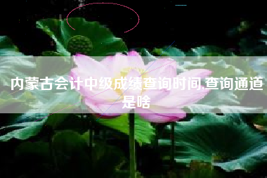 内蒙古会计中级成绩查询时间,查询通道是啥