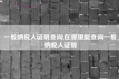 一般纳税人证明查询,在哪里能查询一般纳税人证明