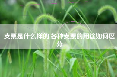 支票是什么样的,各种支票的用途如何区分