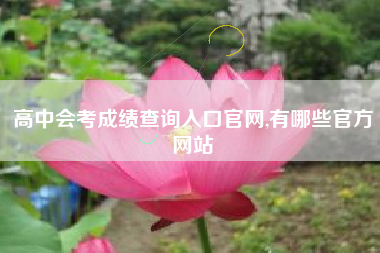 详细阅读:高中会考成绩查询入口官网,有哪些官方网站 高中会考成绩查询入口官网,有哪些官方网站