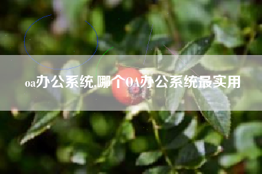 oa办公系统,哪个OA办公系统最实用