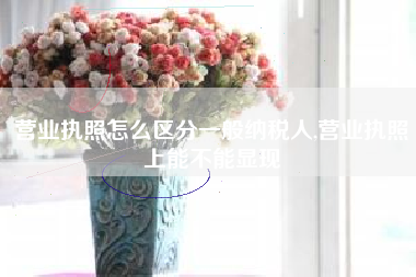 营业执照怎么区分一般纳税人,营业执照上能不能显现