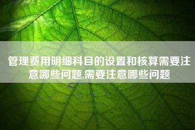 管理费用明细科目的设置和核算需要注意哪些问题,需要注意哪些问题