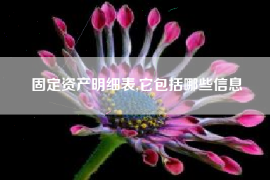 固定资产明细表,它包括哪些信息
