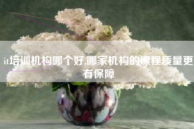it培训机构哪个好,哪家机构的课程质量更有保障