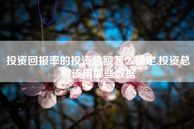 详细阅读:投资回报率的投资总额怎么确定,投资总额该用哪些数据 投资回报率的投资总额怎么确定,投资总额该用哪些数据