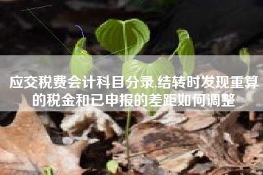 应交税费会计科目分录,结转时发现重算的税金和已申报的差距如何调整