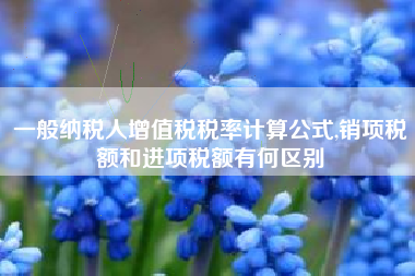 一般纳税人增值税税率计算公式,销项税额和进项税额有何区别