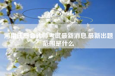 河南注册会计师考试最新消息,最新出题范围是什么