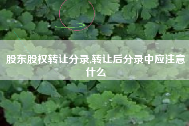 股东股权转让分录,转让后分录中应注意什么