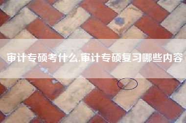 审计专硕考什么,审计专硕复习哪些内容