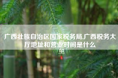 详细阅读:广西壮族自治区国家税务局,广西税务大厅地址和营业时间是什么 广西壮族自治区国家税务局,广西税务大厅地址和营业时间是什么