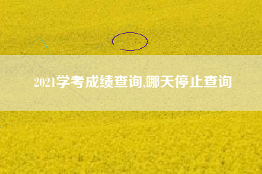 2021学考成绩查询,哪天停止查询