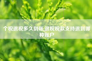 个税退税多久到账,退税税款支持退到哪种账户