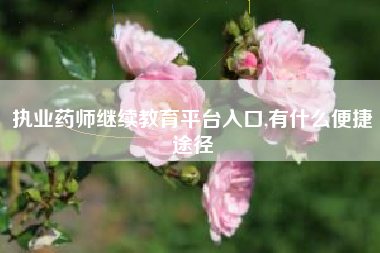执业药师继续教育平台入口,有什么便捷途径