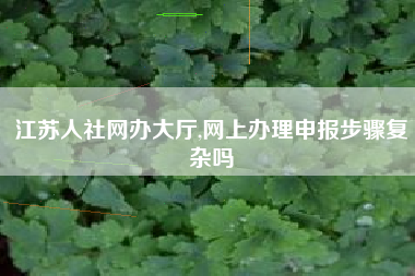 江苏人社网办大厅,网上办理申报步骤复杂吗