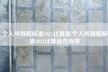 个人所得税标准2021计算器,个人所得税标准2021计算器告诉你
