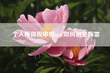 个人所得税申报app,如何避免踩雷