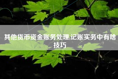 其他货币资金账务处理,记账实务中有啥技巧