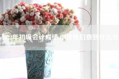 详细阅读:2022年初级会计成绩,小伙伴们查到什么分 2022年初级会计成绩,小伙伴们查到什么分