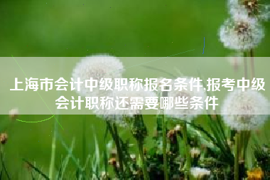 详细阅读:上海市会计中级职称报名条件,报考中级会计职称还需要哪些条件 上海市会计中级职称报名条件,报考中级会计职称还需要哪些条件