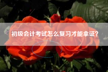 详细阅读:初级会计考试怎么复习才能拿证? 初级会计考试怎么复习才能拿证?
