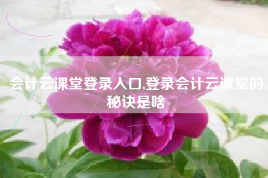 会计云课堂登录入口,登录会计云课堂的秘诀是啥