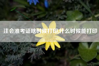 注会准考证啥时候打印,什么时候能打印