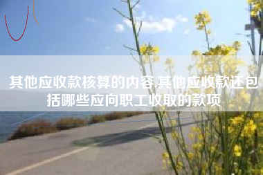 其他应收款核算的内容,其他应收款还包括哪些应向职工收取的款项