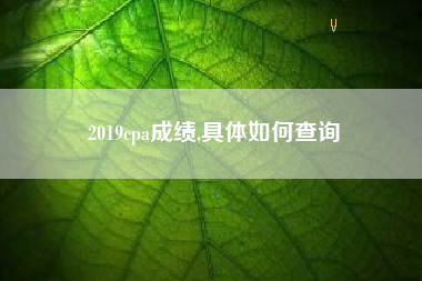 2019cpa成绩,具体如何查询