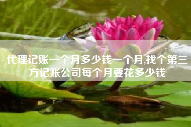 代理记账一个月多少钱一个月,找个第三方记账公司每个月要花多少钱