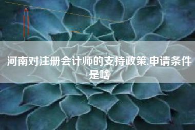 河南对注册会计师的支持政策,申请条件是啥